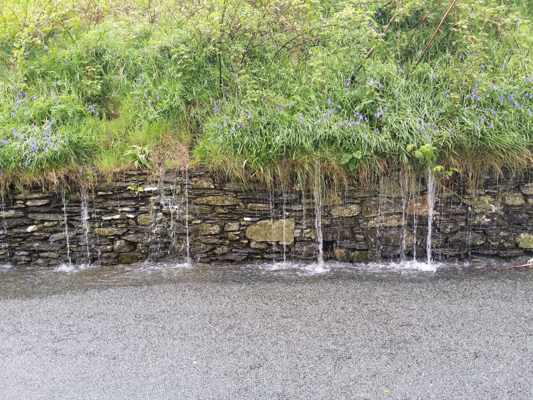Day 2 - Cwm Penmachno valley in the rain