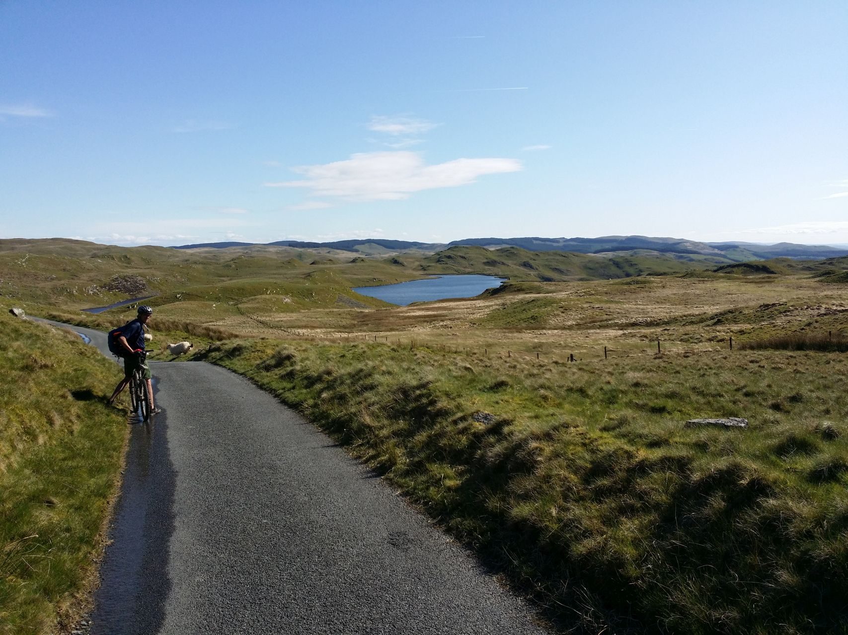 Day 5 - Open moorland between Coed Bwylchgwallter woodland and Elan Valley
