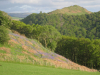 Day 4 - think this is near Ffynnon Wen ... lovely bluebells © Paul Bonwick