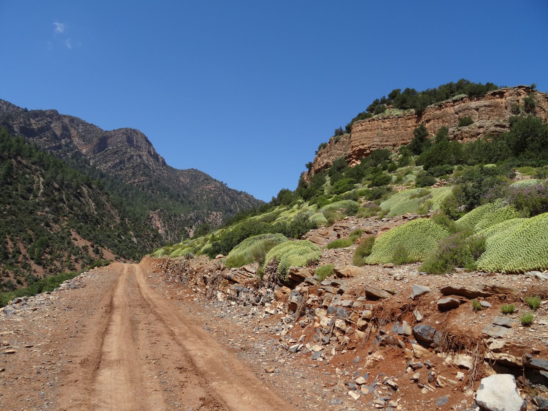 Day 2 - It is getting hot! (wow, is it getting hot ...) Above Assif Melloul gorge. © Steve Woodward