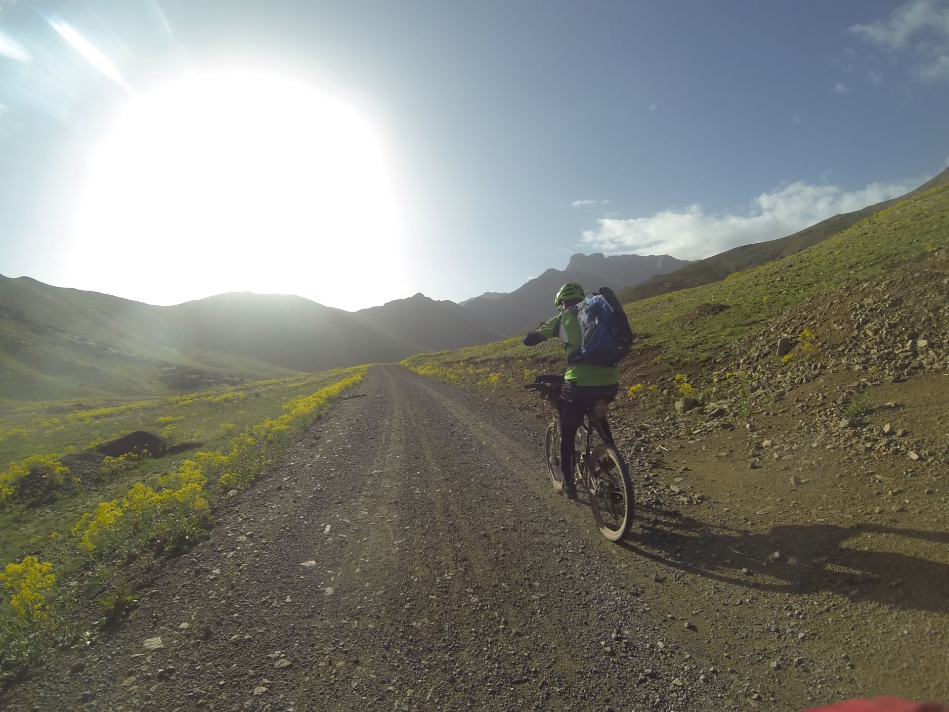 Day 8 - Are we nearly there yet, dad? Riding through an alpine meadow filled with yellow flowers of the plant Woad (Isatis tinctoria). On the climb up to the high point of our trip, the Tizi-n-Eddi pass (9,606 ft) from Oukaïmeden