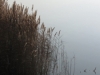 Nr Heybridge Basin, Essex, UK - ... still calm