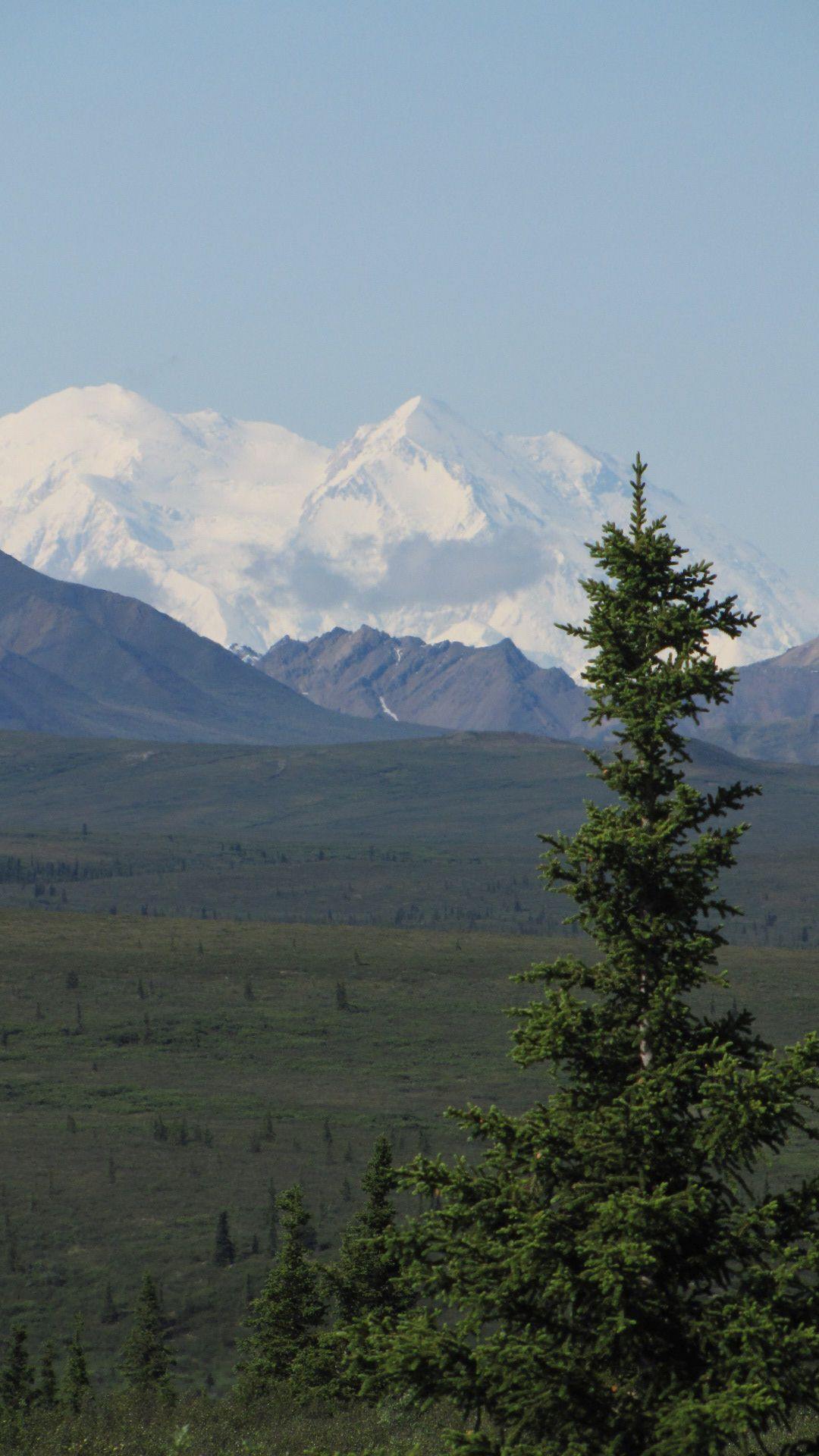 Denali Nat Pk - MOUNT MCKINLEY (aka Denali) SIGHTED! (tallest moontin in N America at ~20,000 feet)