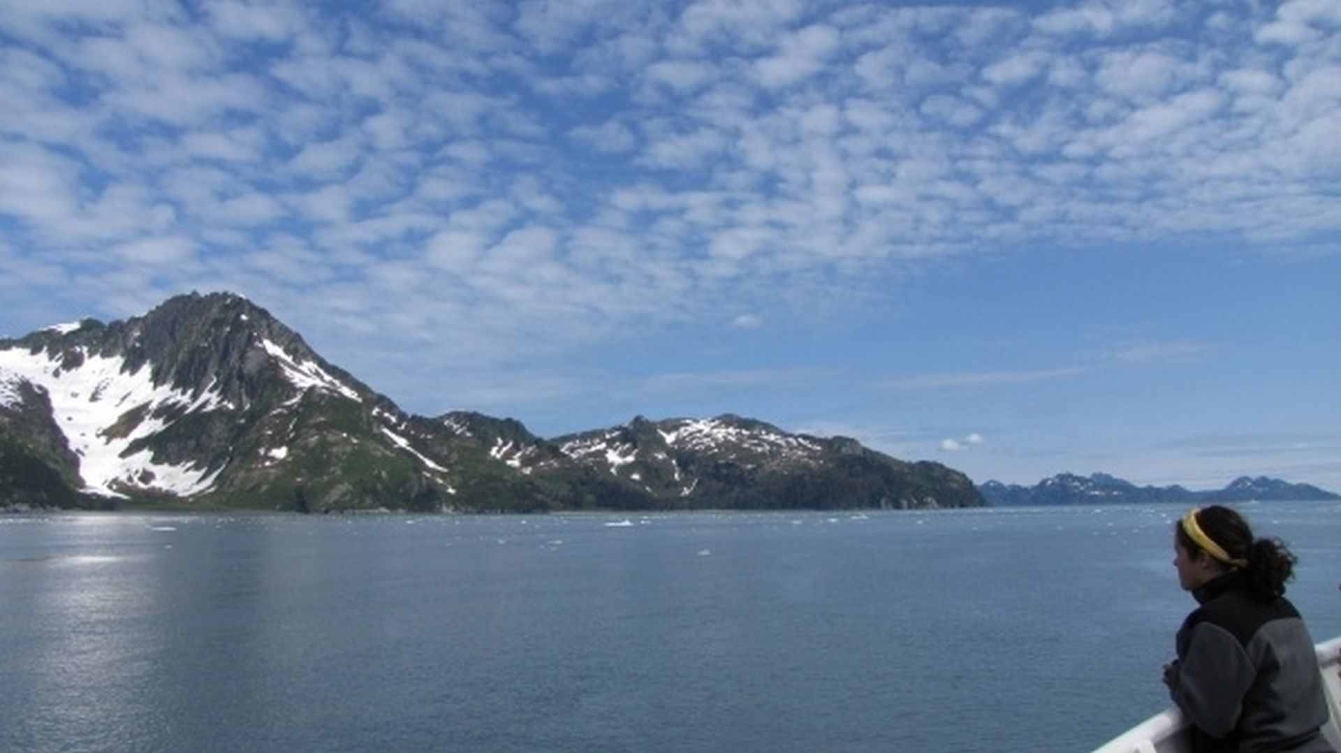 Seward Glacier Cruise - Freya scans her domain
