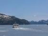 Seward Glacier Cruise - we scare a rival boat away with our horde of gin