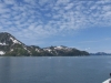 Seward Glacier Cruise - Freya scans her domain