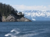 Seward Glacier Cruise - I like this picture (really!)