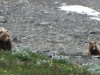 Harding Ice Field nr Seward - NOT MEN IN SUITS