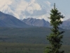 Denali Nat Pk - MOUNT MCKINLEY (aka Denali) SIGHTED! (tallest moontin in N America at ~20,000 feet)