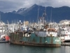 Homer Spit (no, nothing to do with the Simpsons) - boat having a rest