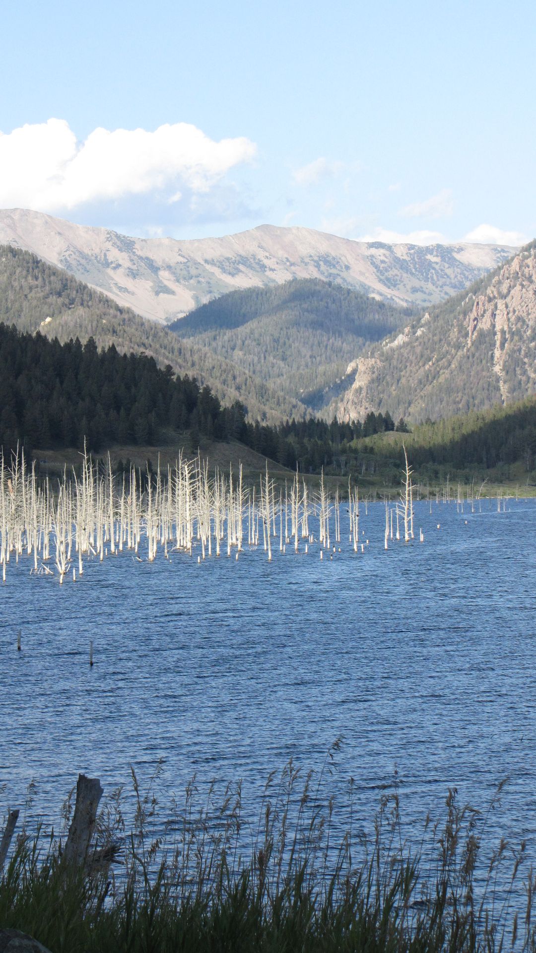 Nr West Yellowstone, MT, USA -"Crater Lake" formed after an earthquake hence the "ghost trees"...