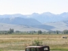 Nr Norris, MT, USA - "I`m afraid there`s not much we can do with it sir, you seem to have a tree growing inside your vehicle - maybe you could speak to Honda about a new `Green idea` "