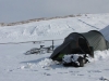 30 cm snow, -10c, `ave some of that...Jeepers it was cold at night - when eating, away from tent due to bear risk, had to get up and run around every 5 mins to keep warm
