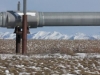 Pipe, mooontin, tundraaa - Juxtaposition