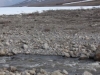 Galbraith Lake again - Who were those strange Japanese men with large rifles and "no intention of hunting"?  Hmmm