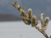 Galbraith Lake -