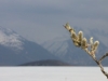 Galbraith Lake - Now will you just stop with the arty stuff? - Who does he think he is?