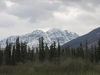 Deitrich Valley - TREES!