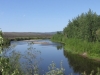 Last night of camping on the Dalton - I`m tucked in behind the trees on the right (out of sight / bear-reach)