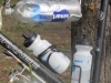 1st place in the "how many water bottles can we attach to the frame" contest