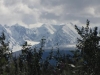 Delta Junction, AK, US - Roadside views abound