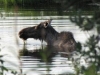 Dot Lake, AK, US -