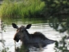 Dot Lake, AK, US -