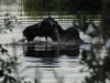 Dot Lake, AK, US -