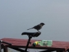 Cottonwood RV Park, YT, Canada - it won`t work if you face that way...