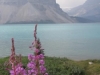 Banff Nat Pk, Alberta, Canada - Taken whilst standing over bike cross-bar using rotating screen display & stretching down to hold camera on the ground!