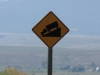 I cannot express how much I LOVE THIS SIGN!!!  (no, not the trucks bit but the DOWNHILL!!!!)  I get excited whenever I see it.  I am a sad man.