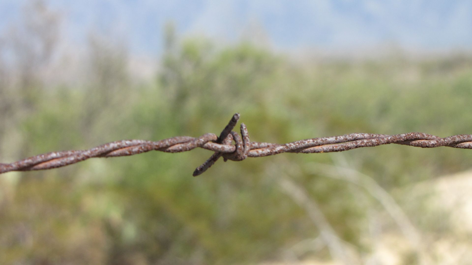 Nr El Arco, NL, Mexico - barbed wire everywhere along the road, no open ground to camp at all
