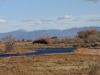 Nr Alamosa, CO, USA - Priddy priddy