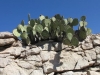 Nr Sanderson, TX, USA - yup, I`m getting into the desert I think
