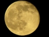 Langtry, TX, USA - 1 sec exposure, max optical zoom & improvised tripod but I still don`t know how it came out so well!