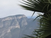 Nr Mina, NL, Mexico - Palm trees & mountains