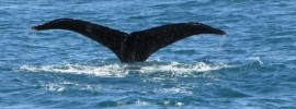 Side Trip – Southern Alaska, USA
