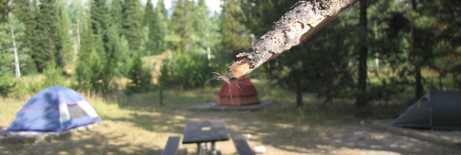 Pt 5 – Helena, Montana to Denver, Colorado, USA