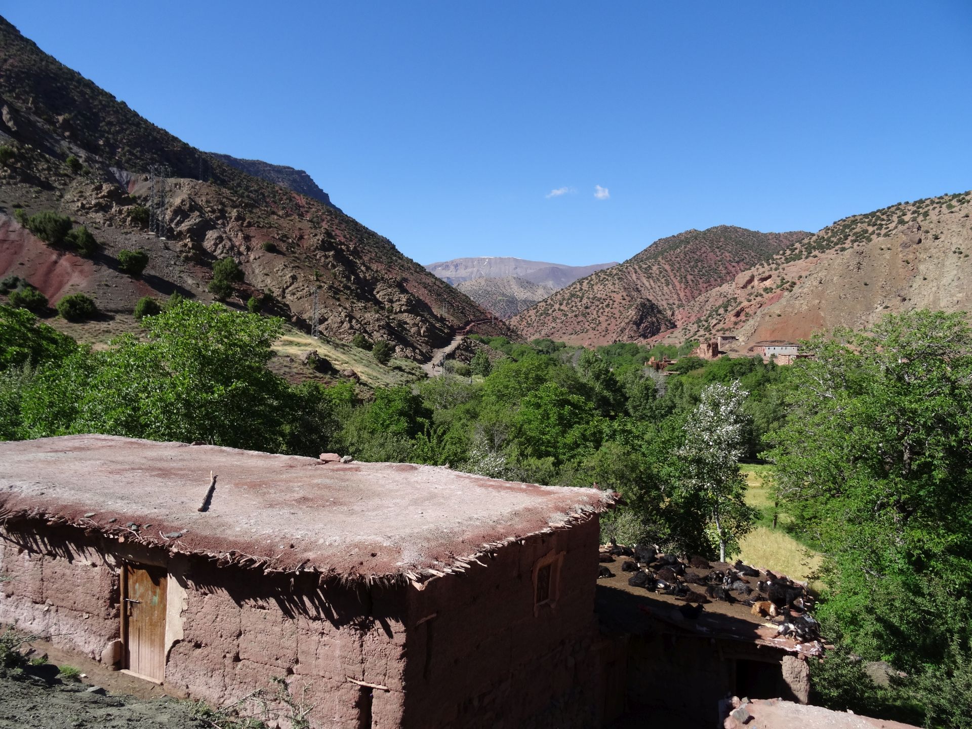 Day 4 - Approaching the village of Ghougoult, in preparation for meeting the mules! ...© Steve Woodward