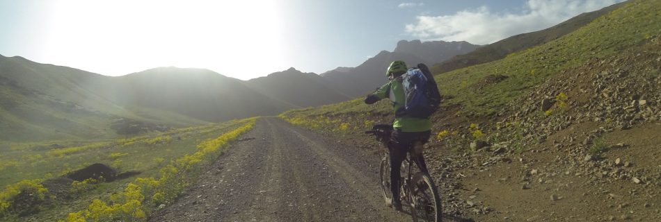 Day 8 - Are we nearly there yet dad? Riding through an alpine meadow filled with yellow flowers of the plant Woad (Isatis tinctoria). On the climb up to the high point of our trip, the Tizi-n-Eddi pass (9,606 ft) from Oukaïmeden